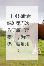 《只此青绿》第五次为宁波“淬墨”，为何仍一票难求？