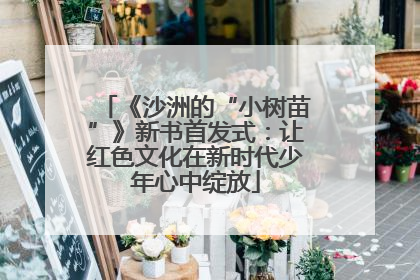 《沙洲的“小树苗”》新书首发式：让红色文化在新时代少年心中绽放