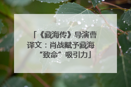《藏海传》导演曹译文：肖战赋予藏海“致命”吸引力