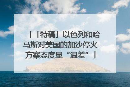 「特稿」以色列和哈马斯对美国的加沙停火方案态度显“温差”
