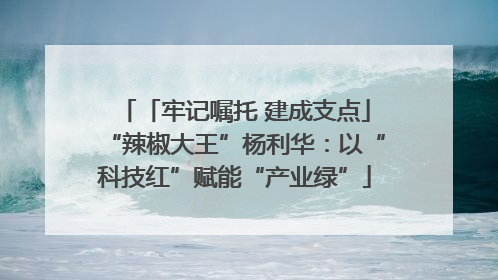 「牢记嘱托 建成支点」“辣椒大王”杨利华：以“科技红”赋能“产业绿”