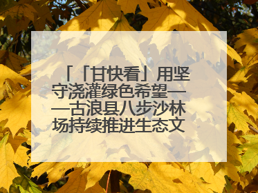 「甘快看」用坚守浇灌绿色希望——古浪县八步沙林场持续推进生态文明建设见闻