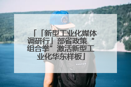 「新型工业化媒体调研行」部省政策“组合拳”激活新型工业化华东样板