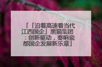 「沿着高速看当代江西国企」黑猫集团：创新驱动，奏响瓷都国企发展新乐章