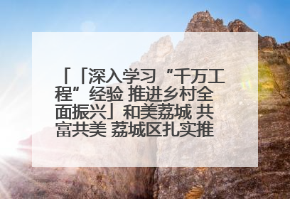 「深入学习“千万工程”经验 推进乡村全面振兴」和美荔城 共富共美 荔城区扎实推进乡村振兴工作