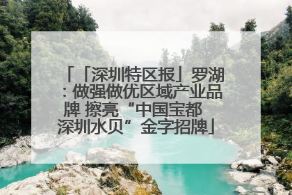 「深圳特区报」罗湖：做强做优区域产业品牌 擦亮“中国宝都 深圳水贝”金字招牌