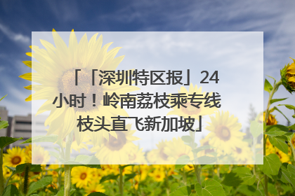 「深圳特区报」24小时！岭南荔枝乘专线 枝头直飞新加坡