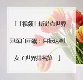 「视频」斯诺克世界冠军白雨露：目标达到女子世界排名第一