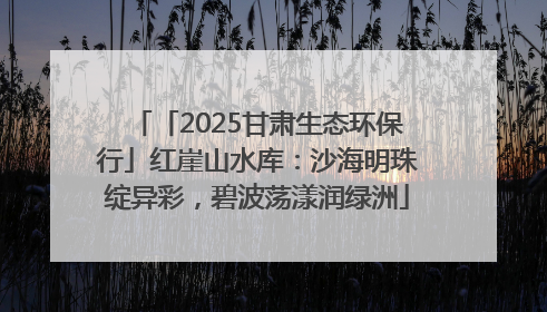 「2025甘肃生态环保行」红崖山水库：沙海明珠绽异彩，碧波荡漾润绿洲