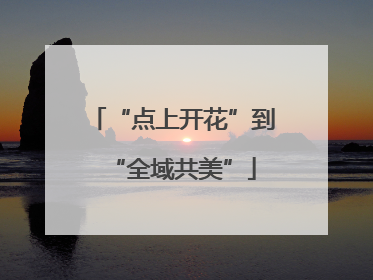 “点上开花”到“全域共美”