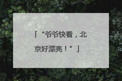 “爷爷快看，北京好漂亮！”