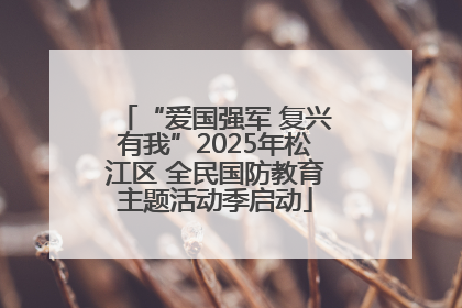 “爱国强军 复兴有我”2025年松江区 全民国防教育主题活动季启动