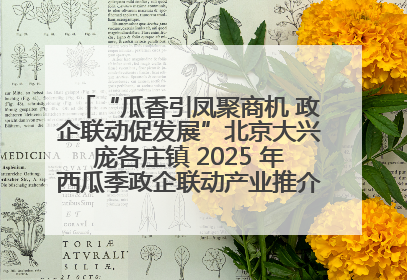 “瓜香引凤聚商机 政企联动促发展”北京大兴庞各庄镇 2025 年西瓜季政企联动产业推介活动圆满举行