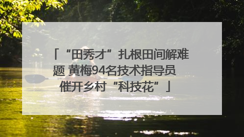 “田秀才”扎根田间解难题 黄梅94名技术指导员催开乡村“科技花”