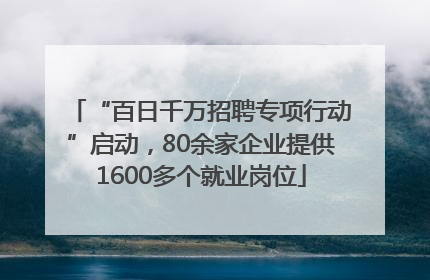 “百日千万招聘专项行动”启动，80余家企业提供1600多个就业岗位