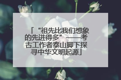 “祖先比我们想象的先进得多”——考古工作者泰山脚下探寻中华文明起源