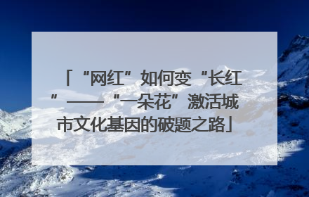 “网红”如何变“长红”——“一朵花”激活城市文化基因的破题之路