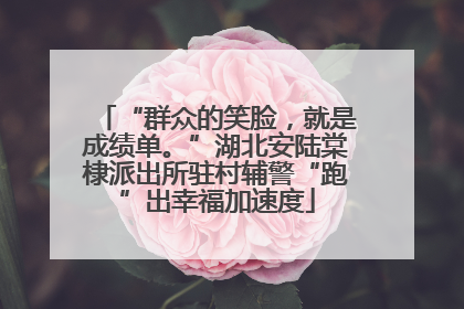 “群众的笑脸，就是成绩单。”湖北安陆棠棣派出所驻村辅警“跑”出幸福加速度