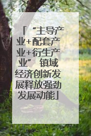 “主导产业+配套产业+衍生产业” 镇域经济创新发展释放强劲发展动能