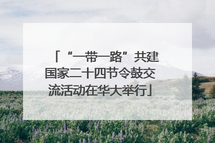 “一带一路”共建国家二十四节令鼓交流活动在华大举行