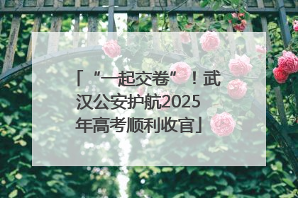“一起交卷”！武汉公安护航2025年高考顺利收官