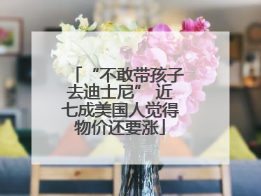 “不敢带孩子去迪士尼” 近七成美国人觉得物价还要涨