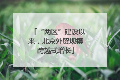 “两区”建设以来，北京外贸规模跨越式增长