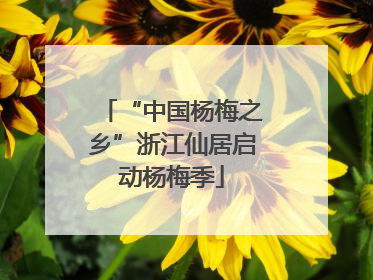 “中国杨梅之乡”浙江仙居启动杨梅季