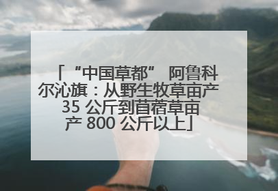 “中国草都” 阿鲁科尔沁旗：从野生牧草亩产 35 公斤到苜蓿草亩产 800 公斤以上
