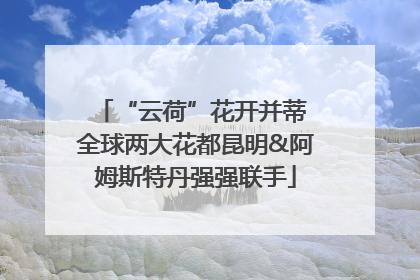 “云荷”花开并蒂 全球两大花都昆明&阿姆斯特丹强强联手