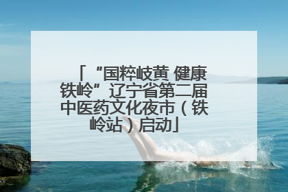 “国粹岐黄 健康铁岭”辽宁省第二届中医药文化夜市（铁岭站）启动