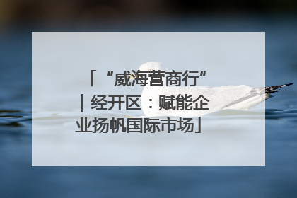 “威海营商行”｜经开区：赋能企业扬帆国际市场