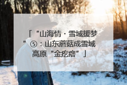 “山海情・雪域援梦”⑤：山东蘑菇成雪域高原“金疙瘩”