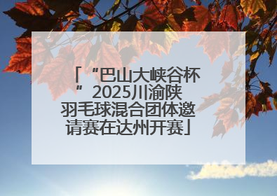 “巴山大峡谷杯”2025川渝陕羽毛球混合团体邀请赛在达州开赛