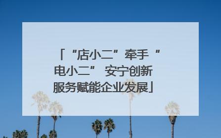 “店小二”牵手“电小二” 安宁创新服务赋能企业发展