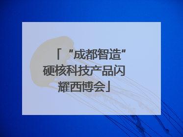 “成都智造”硬核科技产品闪耀西博会