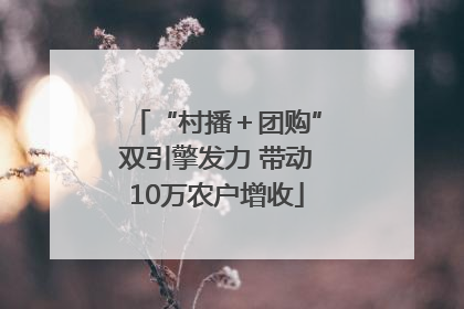 “村播＋团购”双引擎发力 带动10万农户增收