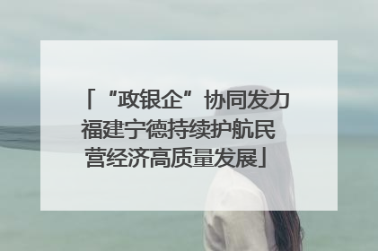 “政银企”协同发力 福建宁德持续护航民营经济高质量发展