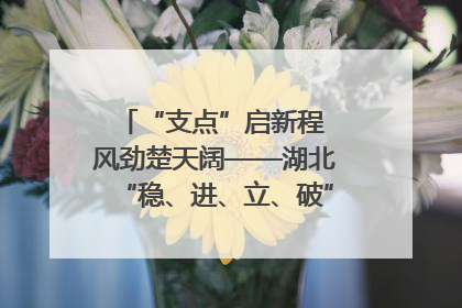 “支点”启新程 风劲楚天阔——湖北“稳、进、立、破”谱写“荆”彩篇章