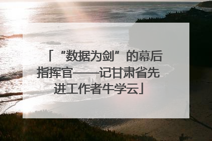 “数据为剑”的幕后指挥官——记甘肃省先进工作者牛学云
