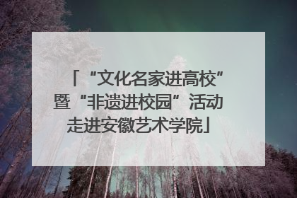 “文化名家进高校”暨“非遗进校园”活动走进安徽艺术学院