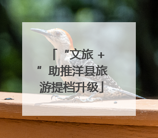 “文旅 +”助推洋县旅游提档升级