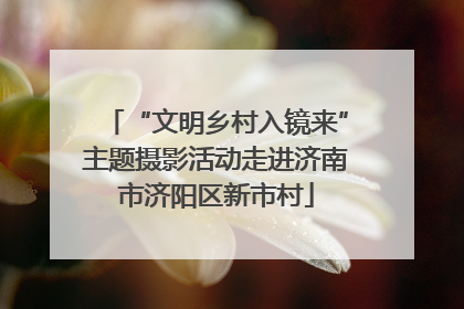 “文明乡村入镜来”主题摄影活动走进济南市济阳区新市村