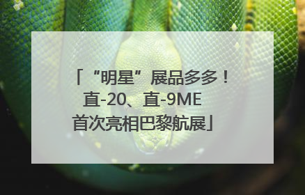 “明星”展品多多！直-20、直-9ME首次亮相巴黎航展