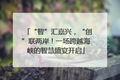 “智”汇嘉兴，“创”联两岸！一场跨越海峡的智慧盛宴开启