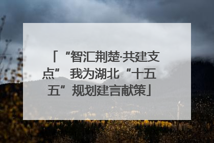 “智汇荆楚·共建支点” 我为湖北“十五五”规划建言献策