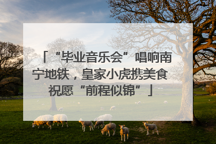 “毕业音乐会”唱响南宁地铁，皇家小虎携美食祝愿“前程似锦”