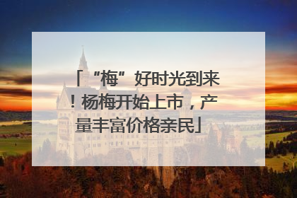 “梅”好时光到来！杨梅开始上市，产量丰富价格亲民
