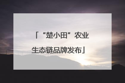 “楚小田”农业生态链品牌发布
