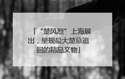 “楚风烈”上海展出，呈现最大楚墓追回的精品文物